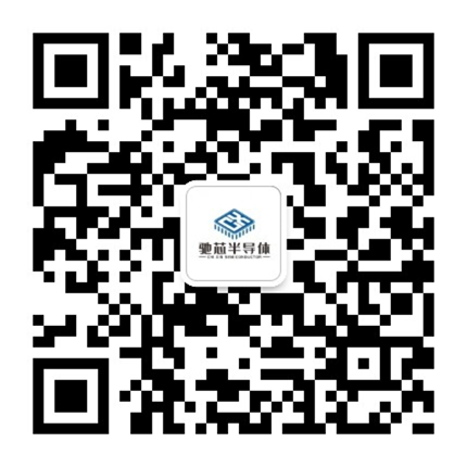 长沙龙八头号玩家唯一半导体科技有限公司